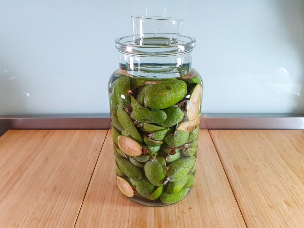 Feijoa fizz 6 Jar with feijoa skins weighed down by glass.