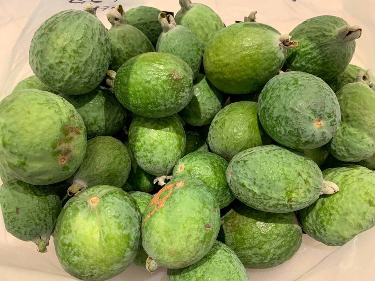 Feijoa recipes 4 Large pile of feijoas.