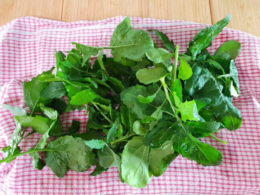 Rocket and Pear Salad 3 Drying washed rocket leaves with a tea towel.