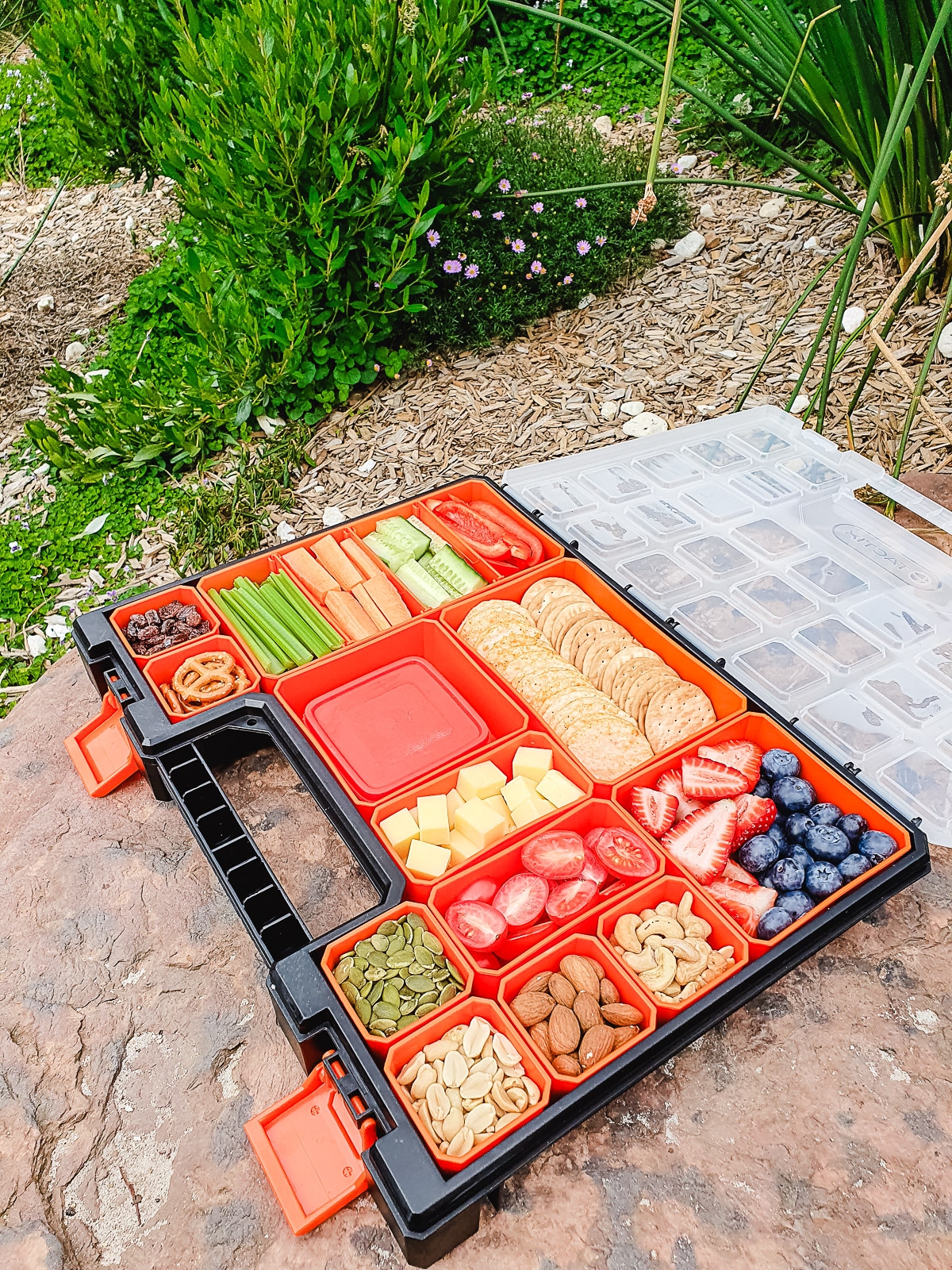 Kids Charcuterie Board 9 Charcuterie board at the park.